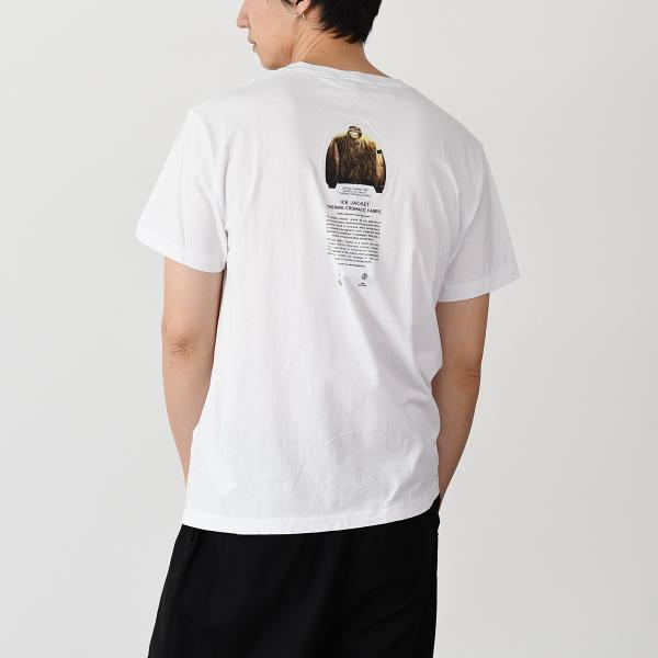 STONE ISLAND ARCHIVIO プリントTシャツ
