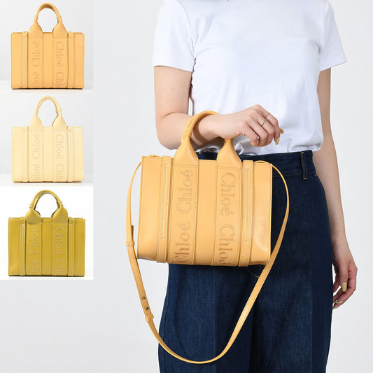 CHLOE WOODY カーフスキンレザースモールバッグ