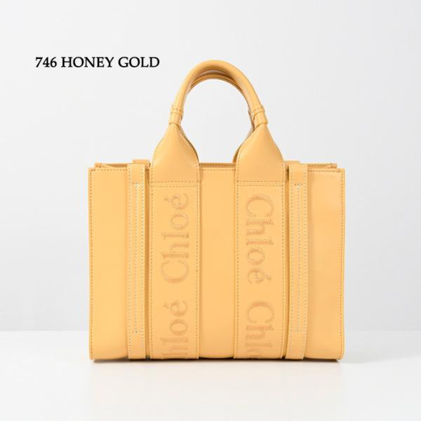 CHLOE WOODY カーフスキンレザースモールバッグ