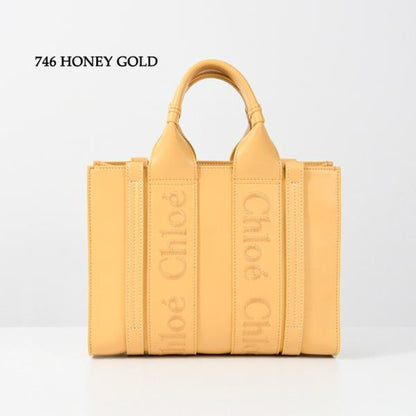 CHLOE WOODY カーフスキンレザースモールバッグ