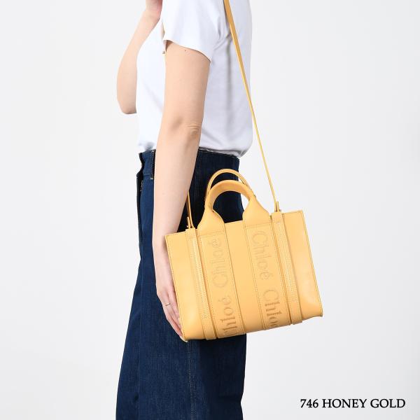 CHLOE WOODY カーフスキンレザースモールバッグ